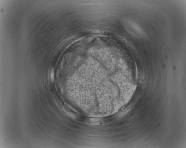 X0000083650095200703121756