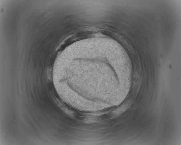 X0000083650096200703121756