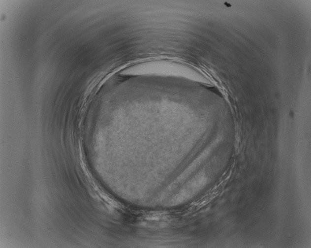 X0000083650097200703121756