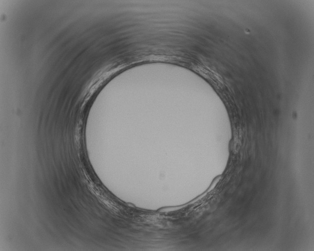 X0000083650098200703121756