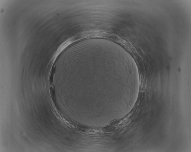 X0000083650099200703121756