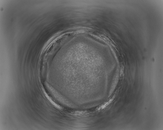 X0000083650101200703121756