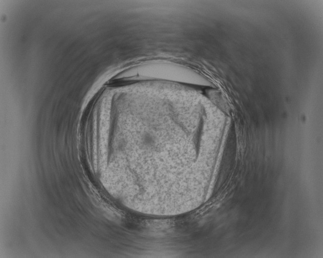 X0000083650102200703121756