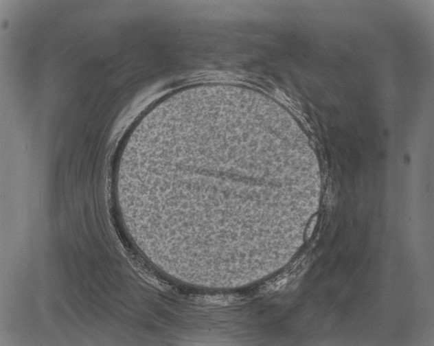 X0000083650103200703121756