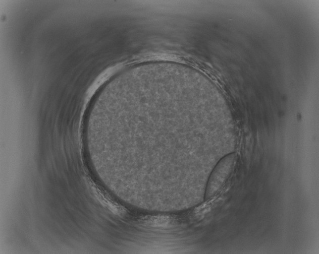 X0000083650104200703121756