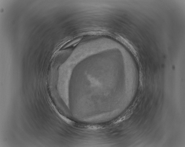 X0000083650105200703121756