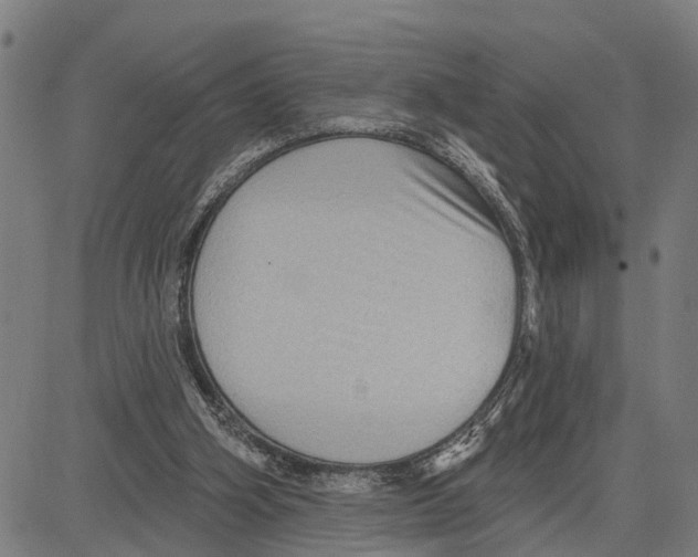 X0000083650106200703121755