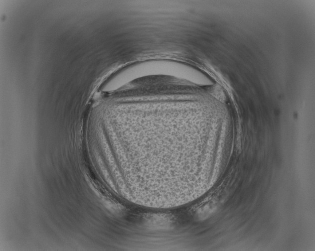 X0000083650107200703121755