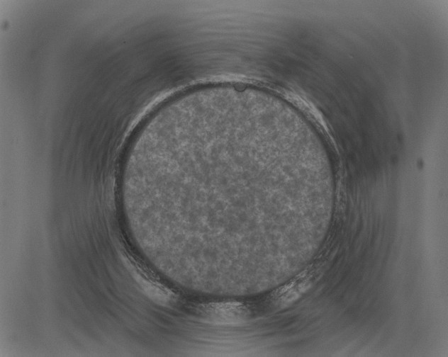 X0000083650108200703121755