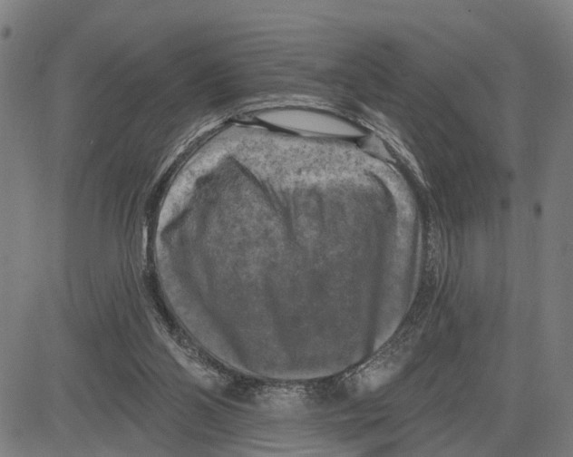 X0000083650110200703121755