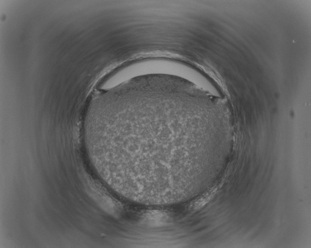 X0000083650111200703121755