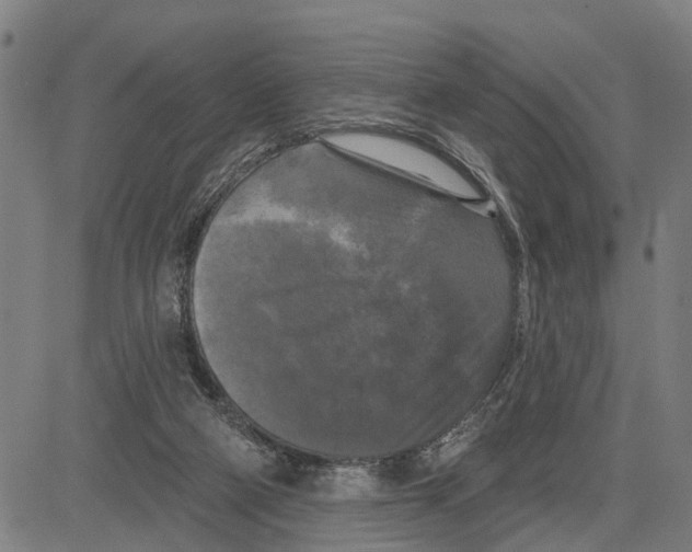 X0000083650114200703121755