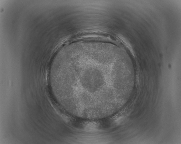 X0000083650115200703121755