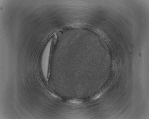 X0000083650117200703121755