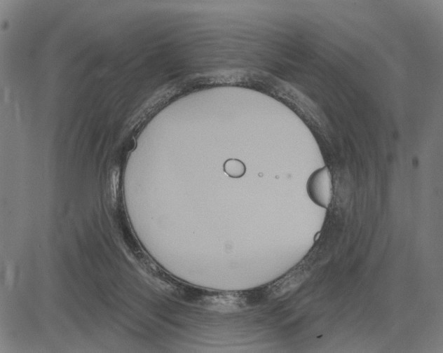 X0000083650118200703121755