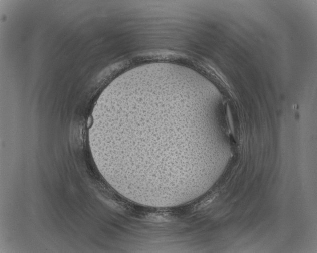 X0000083650119200703121755