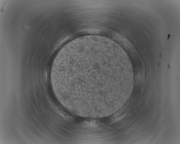 X0000083650120200703121755