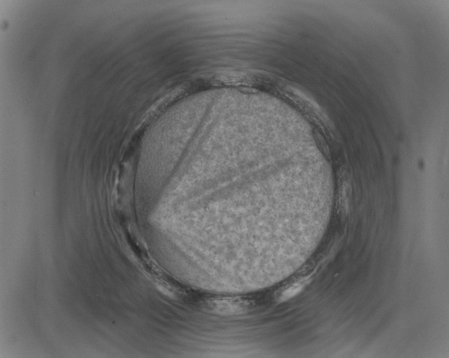 X0000083650121200703121755