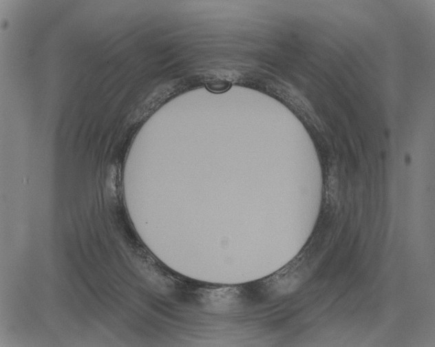 X0000083650122200703121755