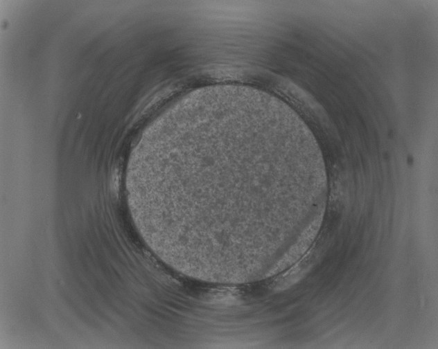 X0000083650124200703121755