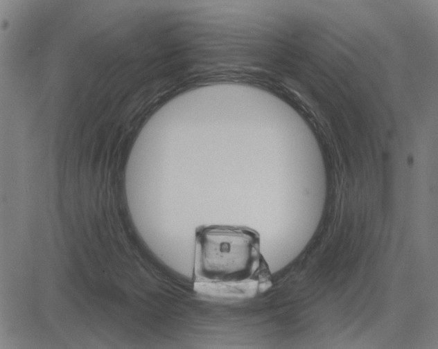 X0000083650125200703121755