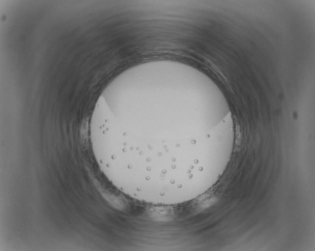 X0000083650126200703121755