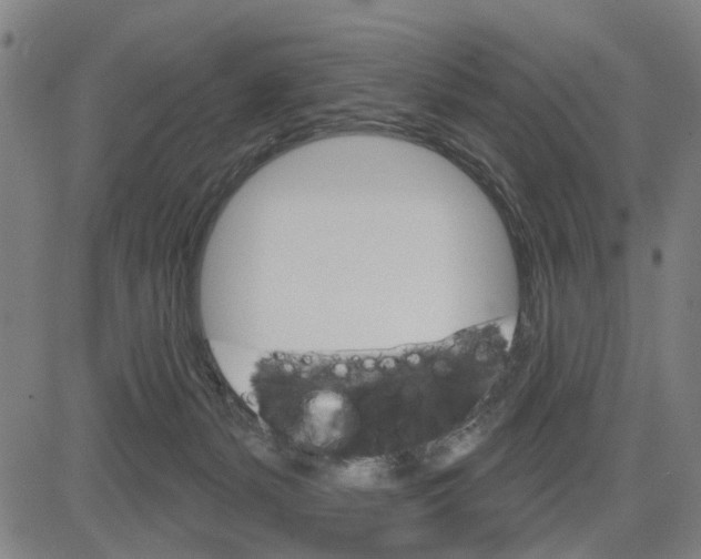 X0000083650127200703121755