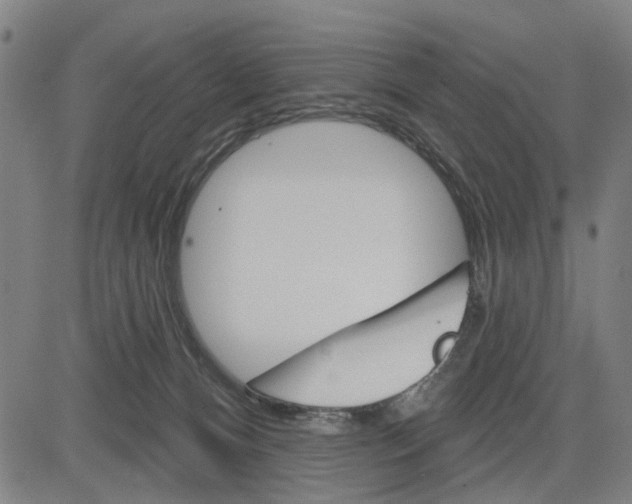 X0000083650128200703121755