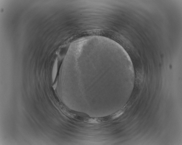 X0000083650130200703121755