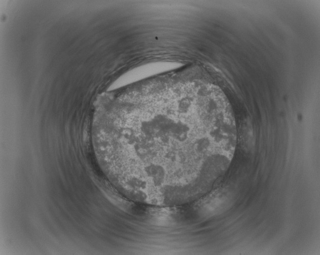 X0000083650131200703121755