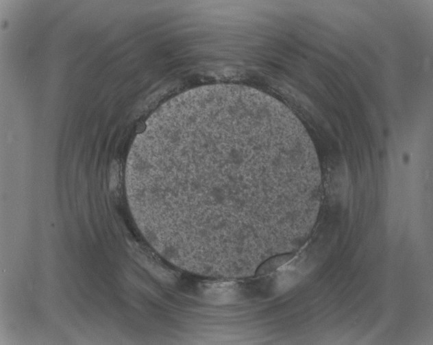 X0000083650132200703121755