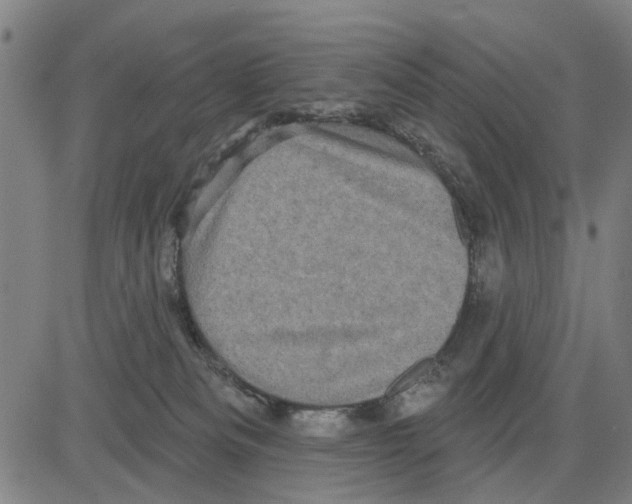 X0000083650133200703121755