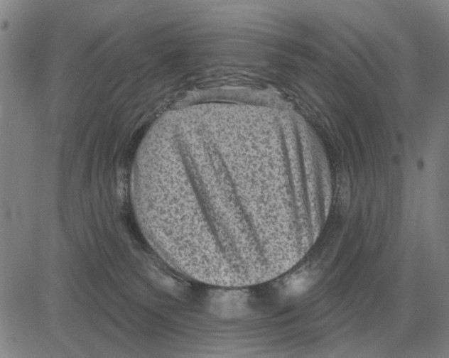 X0000083650135200703121755