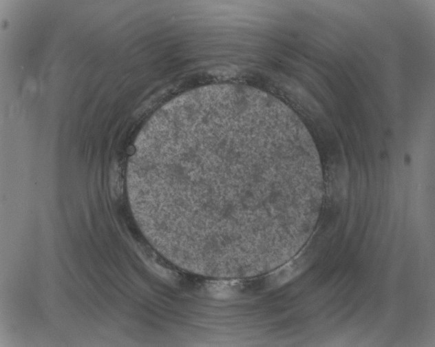 X0000083650136200703121755