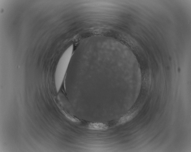 X0000083650137200703121755