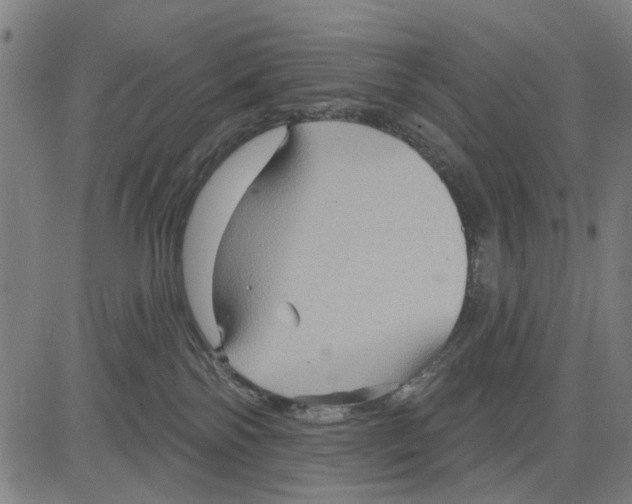 X0000083650138200703121755