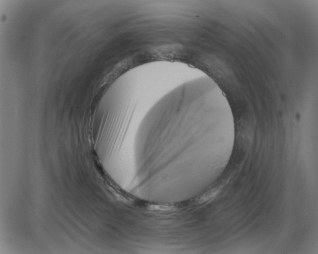 X0000083650139200703121755