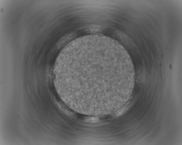 X0000083650140200703121755