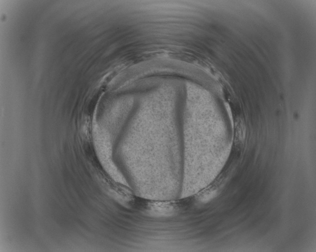 X0000083650141200703121755