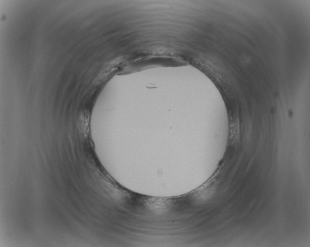 X0000083650142200703121755