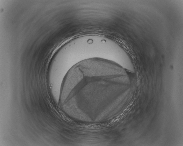 X0000083650146200703121754