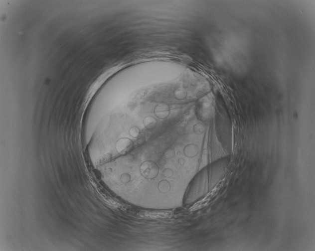 X0000083650147200703121754