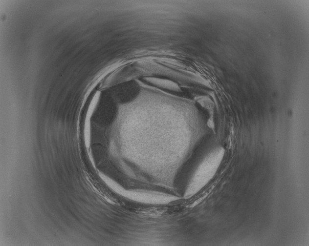 X0000083650148200703121754