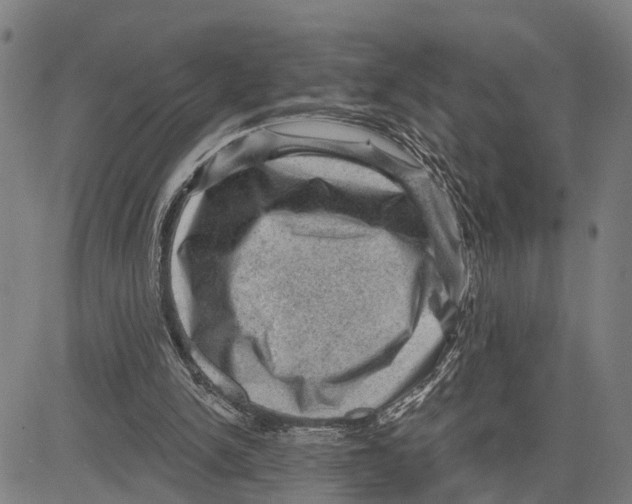 X0000083650150200703121754