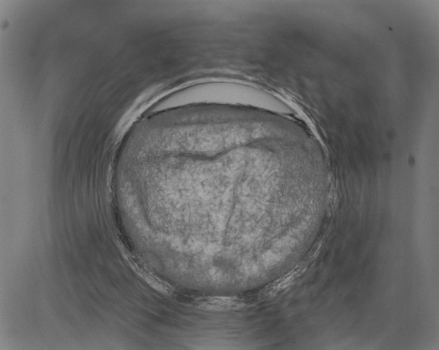 X0000083650151200703121754