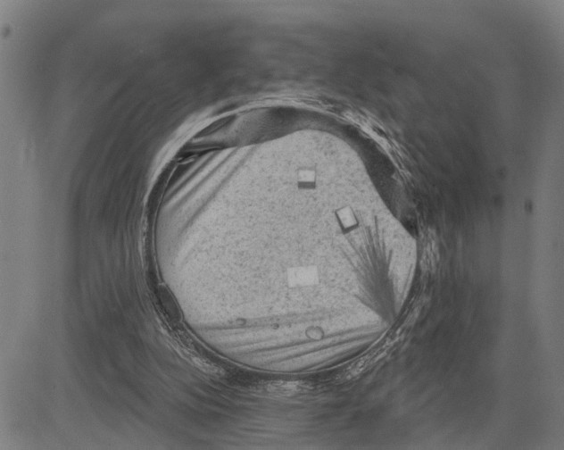 X0000083650152200703121754