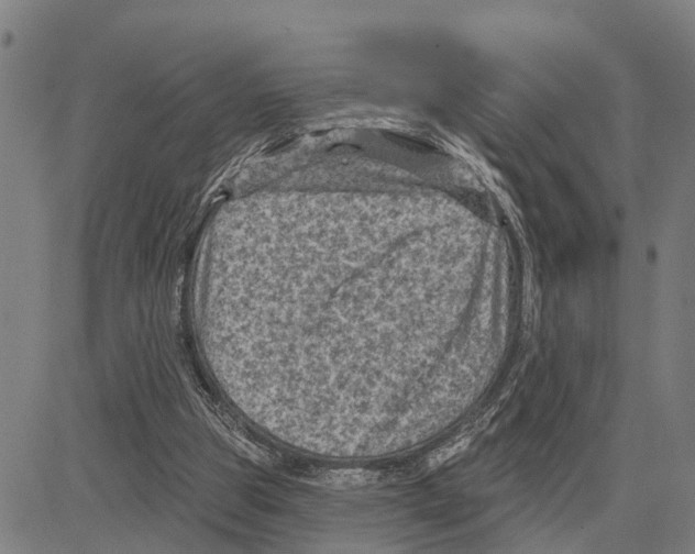 X0000083650153200703121754