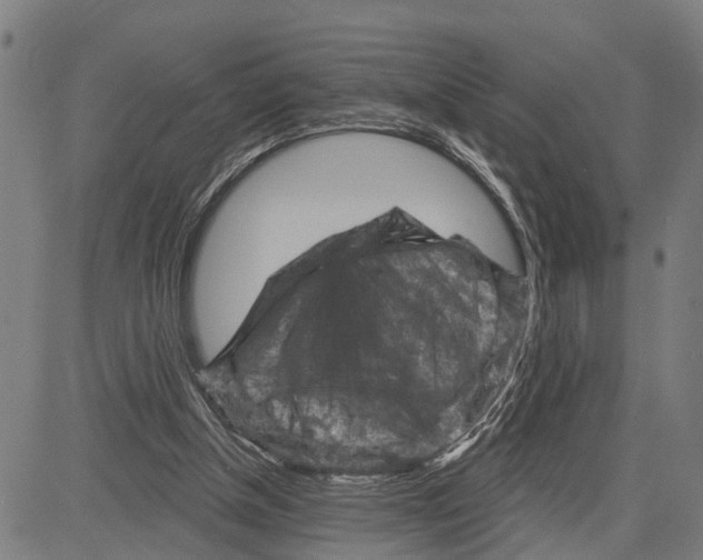 X0000083650154200703121754