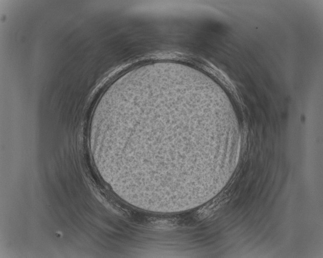 X0000083650155200703121754