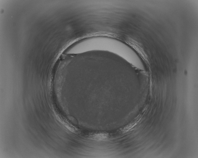 X0000083650156200703121754